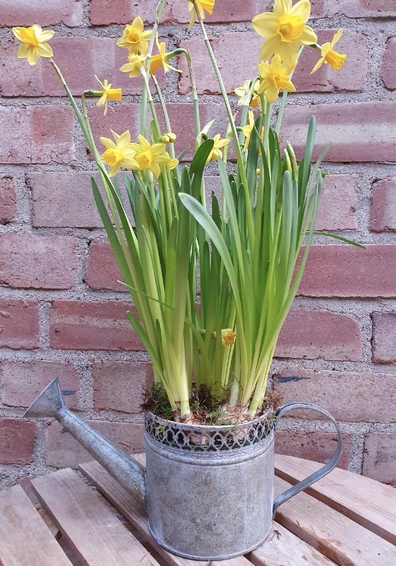 Spring watering can with chocolates