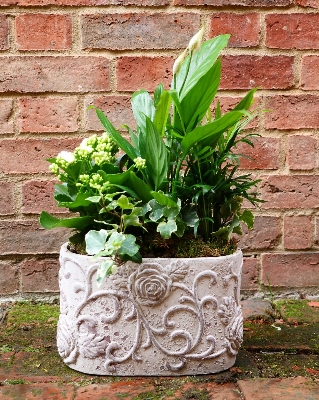 Oval indoor concrete planter