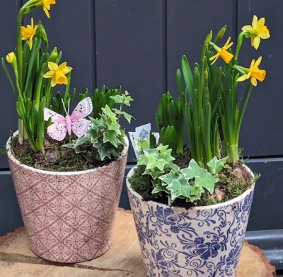 Ceramic plant pot of spring
