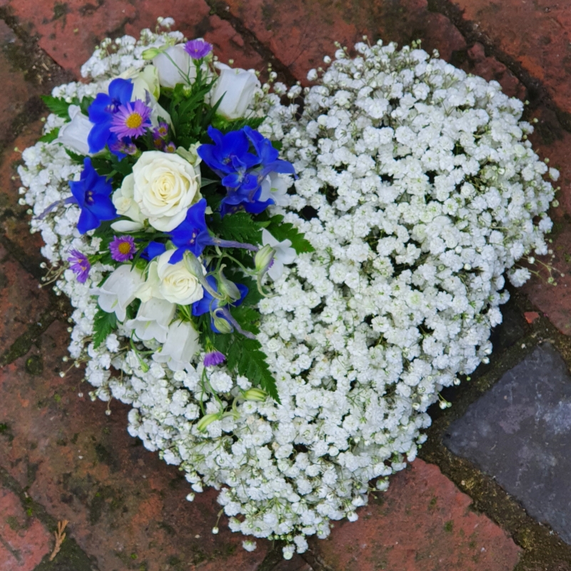 Gypsophlia heart