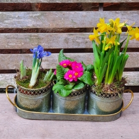 Trio of spring in zinc window ledge planter