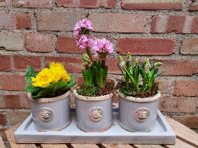 Deluxe Kew gardens pottery spring trio planter