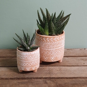 Trio or Duo of houseplants in Mexican planters