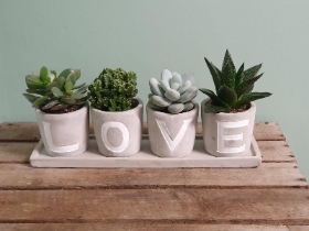 LOVE planters