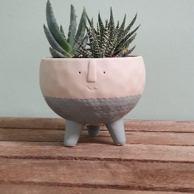 Potty Percy