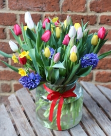 Spring in a vase