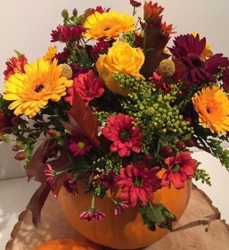 Pumpkin arrangement