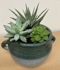 Glazed succulent bowl