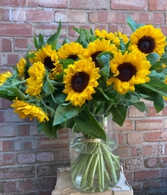 Sunflower splendour in an eco vase