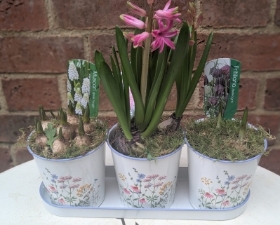Meadow pattern zinc window ledge planter of spring