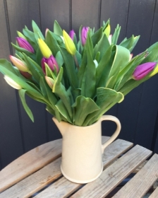 A tulip jug gift set with card and with FREE chocolates